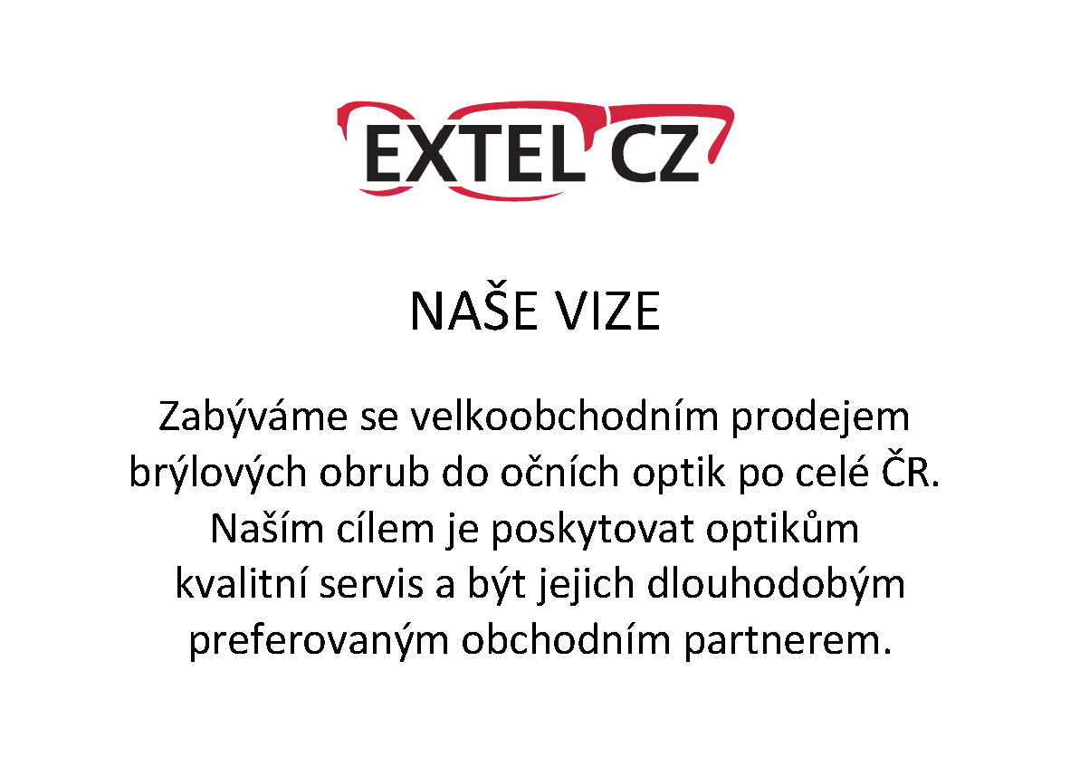 Naše vize